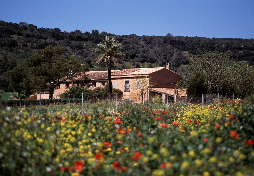 Country house Es Mayolet